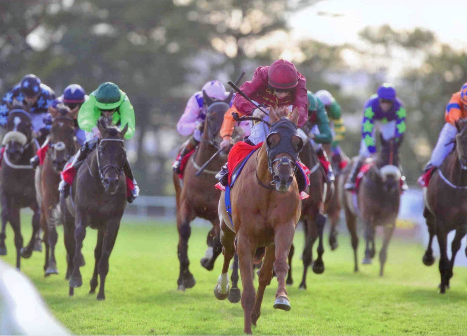 SACRIFICIAL winning at Galway on July 29th, 2015